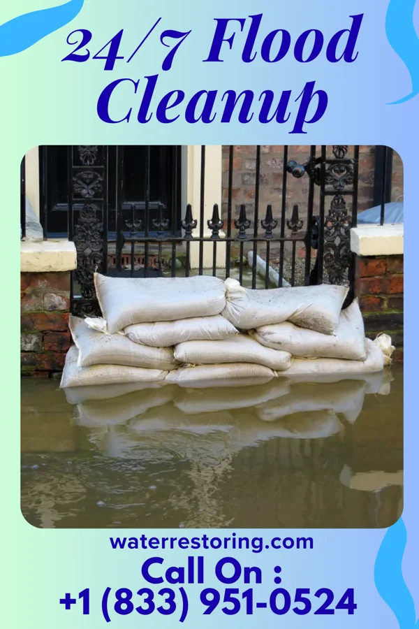 24/7 Flood Cleanup in Stanwood, IA