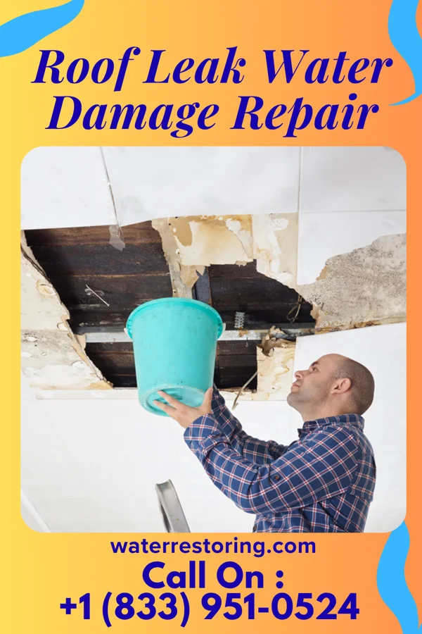 Roof Leak Water Damage Repair in Stanwood, IA