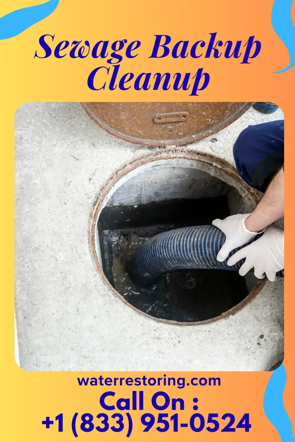 Sewage Backup Cleanup in Stanwood, IA
